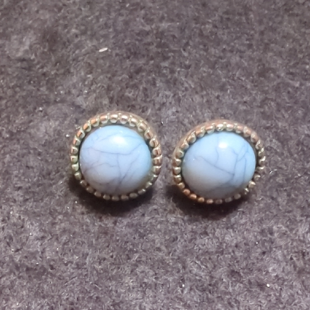 Elegant Blue Turquoise Stud Earrings